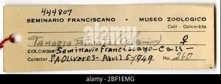 Euphoria saturata. 18 août 20141 Banque D'Images