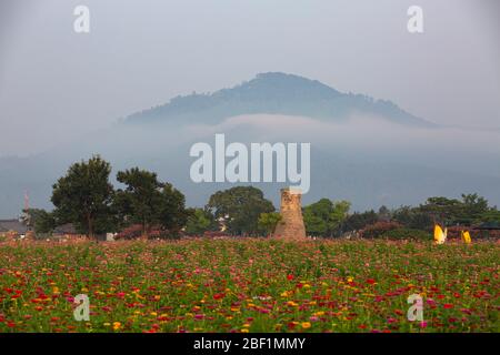 Magnifique Observatoire des Cheomseongdae à Gyeongju, en Corée Banque D'Images