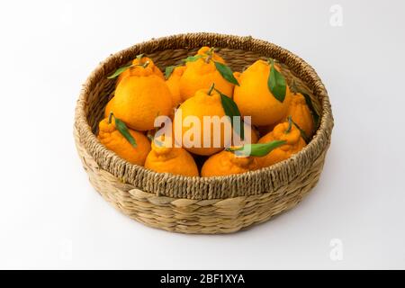 De nombreux Hallabongs orange dans un panier. (Corée, spécialités de l'île de Jeju) Banque D'Images