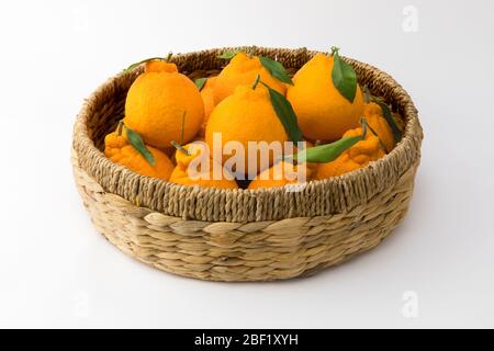 De nombreux Hallabongs orange dans un panier. (Corée, spécialités de l'île de Jeju) Banque D'Images