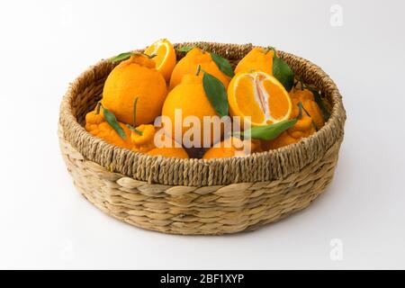 De nombreux Hallabongs orange dans un panier. (Corée, spécialités de l'île de Jeju) Banque D'Images