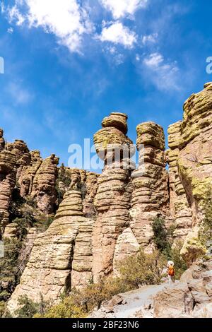 Formations rocheuses au monument national de Chiricahua, Arizona Banque D'Images