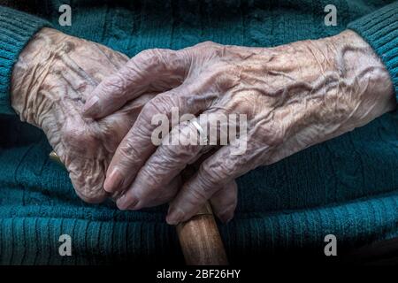 main de la dame de cent ans. Grandma tient sa canne en bois en attendant. Sa peau et ses veines froissées montrent qu'elle a vécu une vie entière Banque D'Images