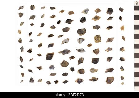 Gar. Cet objet fait partie de la collection Education and Outreach, dont certains sont dans le centre d'éducation scientifique Q?rius et disponibles pour voir.Mésozoïque - Crétacé - Puercan IThese sont des écailles de poisson fossilisées à partir d'un gar, un poisson à fined ray. Banque D'Images