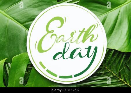 Carte avec texte DE LA TERRE JOUR sur les feuilles tropicales vertes Banque D'Images