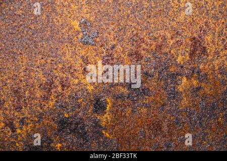 Ancienne texture abstraite en métal rouillé. Plaque de fer rugueuse. Fond de tôle d'acier sale Banque D'Images