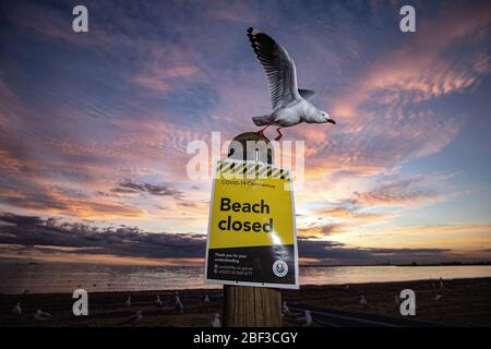 Covid-19, coronavirus, crise pandémique à Melbourne Australie 2020. Un panneau « Plage fermée » à St Kilda Beach Melbourne, fermé en raison de la pandémie. Banque D'Images