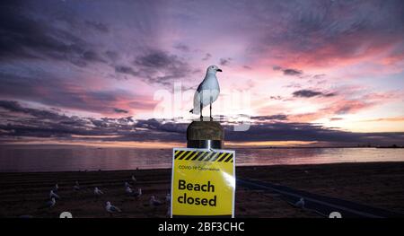 Covid-19, coronavirus, crise pandémique à Melbourne Australie 2020. Un panneau « Plage fermée » à St Kilda Beach Melbourne, fermé en raison de la pandémie. Banque D'Images