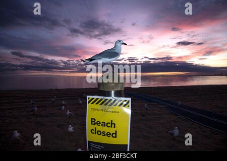 Covid-19, coronavirus, crise pandémique à Melbourne Australie 2020. Un panneau « Plage fermée » à St Kilda Beach Melbourne, fermé en raison de la pandémie. Banque D'Images