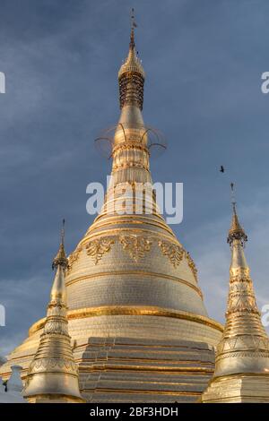 Dômes dorés à la pagode Shwedagon, Yangon, Myanmar Banque D'Images