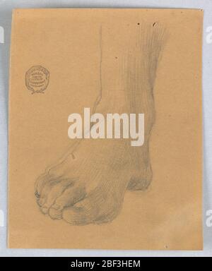 Étude du pied droit. Etude d'un pied droit et d'une cheville, de tout droit. Orteils orientés vers le coin inférieur gauche. Banque D'Images