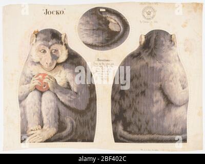 Jocko. Panneau imprimé, intitulé « Jocko » avec vue avant, arrière et bas d'un singe portant un morceau de fruit, destiné à être coupé et cousu dans un jouet farci. Les instructions de couture sont imprimées au centre. « Arnold Print Works, North Adams, ma » est imprimé dans le coin supérieur droit. Banque D'Images