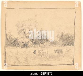 Paysage. Quatre bovins sont en train de pâter au premier plan. Les buissons et les arbres forment l'arrière-plan. Lignes de cadrage. Banque D'Images