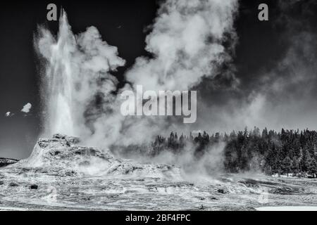 Le château de Geyser éclate dans le parc national de Yellowstone. Banque D'Images