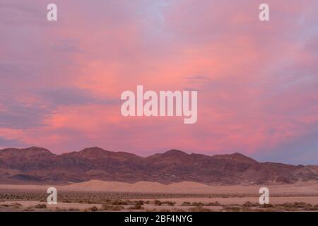 Coucher de soleil sur les dunes d'Ibex dans le parc national de la Vallée de la mort Banque D'Images