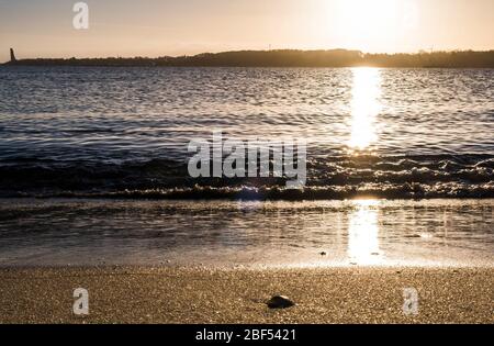 Kiel, Allemagne. 17 avril 2020. Une coquille se trouve sur la plage de Friedrichsort au lever du soleil sur le fjord de Kiel. Crédit: Frank Molter/dpa/Alay Live News Banque D'Images
