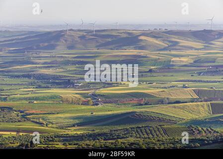 Champs et vignes dans la vallée de Belice vue de la ville de Salemi située dans la province de Trapani dans le sud-ouest de la Sicile, Italie Banque D'Images