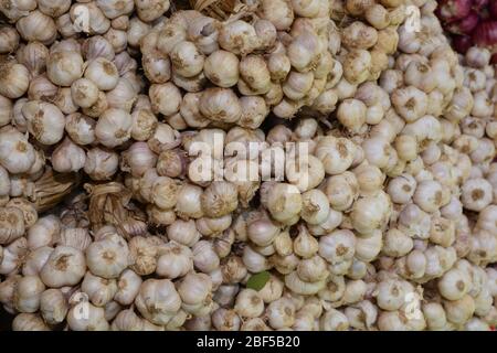 Texture de pieu d'ail sec blanc, pile de têtes d'ail blanc Banque D'Images