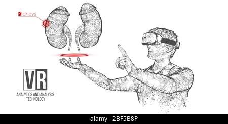 Bannière vectorielle de casque filaire VR. Homme polygonal portant des lunettes de réalité virtuelle, avec holographie des reins. Science, diagnostics, analyse virtuelle Illustration de Vecteur