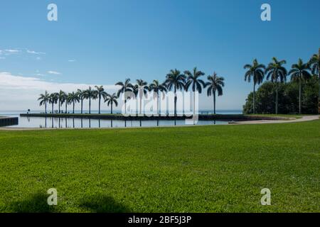 Des palmiers royaux bordent l'entrée du bord de l'eau vers Biscayne Bay. Au parc national du patrimoine de Charles Deering Estate à Miami, en Floride. Banque D'Images