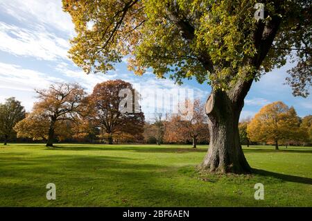 Parc Camperdown, Dundee Banque D'Images