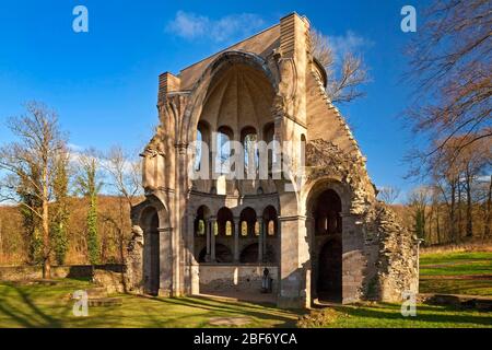 Ruines de l'abbaye de Heisterbach, monastère cistercien dans le Siebengebirge, Allemagne, Rhénanie-du-Nord-Westphalie, Siebengebirge, Koenigswinter Banque D'Images