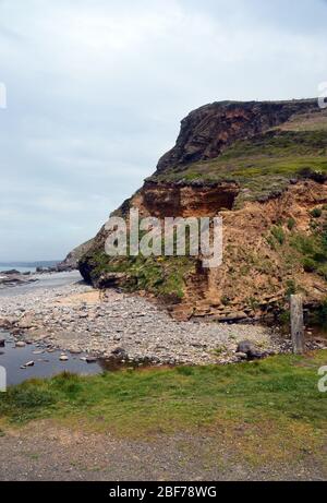 Bridget point Cliffs et Pebble Beach à Millook Haven sur le South West Coast Path, North Cornwall, Angleterre, Royaume-Uni. Banque D'Images