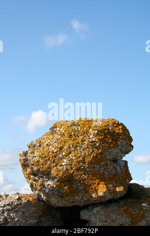 Rauk, une sorte de formation de roches, sur Fårö, Gotland, Suède. Banque D'Images