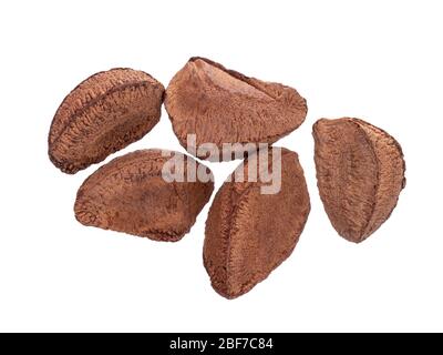 Studio tourné de noix naturelles du brésil dans des coquillages isolés sur fond blanc. Banque D'Images