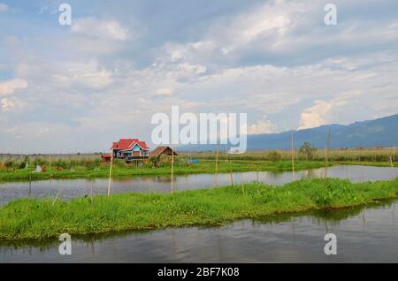 Maison traditionnelle en pilotis dans les jardins flottants du lac Inle, au Myanmar Banque D'Images