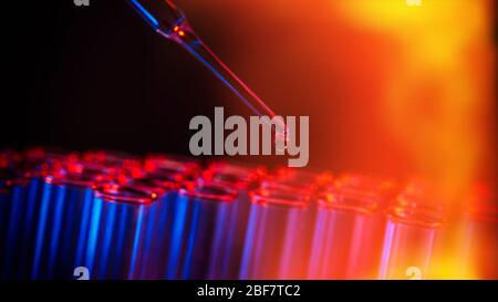 Rangée de tubes à essai. Concept de laboratoire médical ou scientifique, goutte de goutte liquide avec pipette dans fond bleu de ton rouge, gros plan, micro photographie pic Banque D'Images