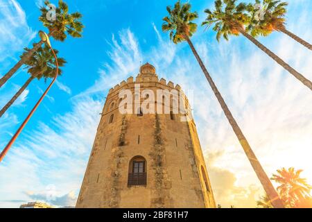 Vue de fond de la tour d'or ou de la Torre del Oro avec palmiers, une tour militaire médiévale sur le bord de la rivière de Séville, Andalousie, Espagne au coucher du soleil Banque D'Images