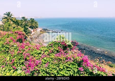 Côte, plage et végétation de Dakar. Dakar. Sénégal. Afrique de l'Ouest. Banque D'Images