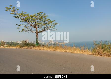 Côte, plage et végétation de Dakar. Dakar. Sénégal. Afrique de l'Ouest. Banque D'Images