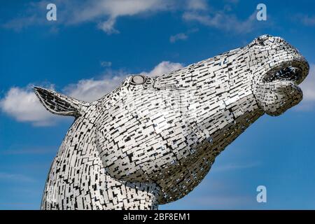 Chef de l'un des Kelpies sited par le canal Forth & Clyde au parc Helix à Falkirk près de Grangemount en Ecosse Royaume-Uni Banque D'Images