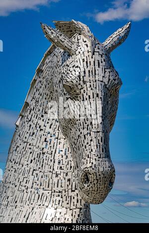 Chef de l'un des Kelpies sited par le canal Forth & Clyde au parc Helix à Falkirk près de Grangemount en Ecosse Royaume-Uni Banque D'Images