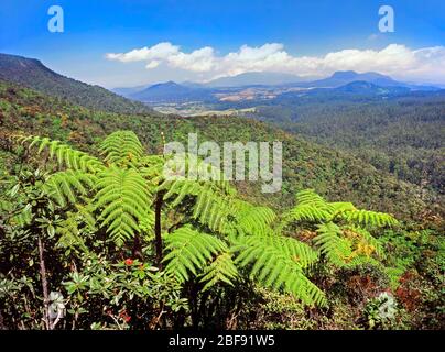 Parc national des plaines de Horton, paysage, Sri Lanka Banque D'Images