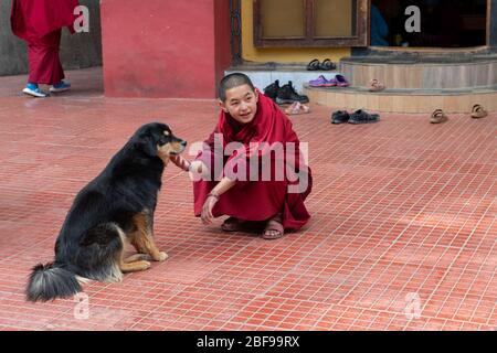 Bhoutan, Zilukha, Thimphu. Thangtong Dewachen Dupthop Nunnery. Jeune femme novice nun. Banque D'Images