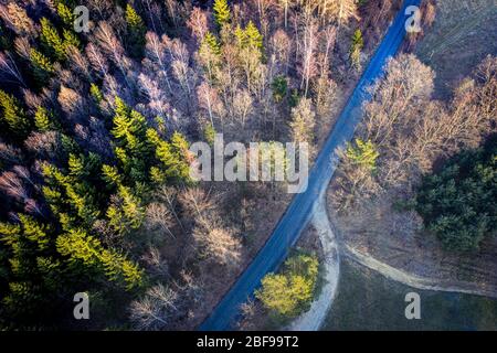 Vue aérienne - route dans l'arbre et le champ. Montagnes de la table. Belle couleur - ressort. Banque D'Images