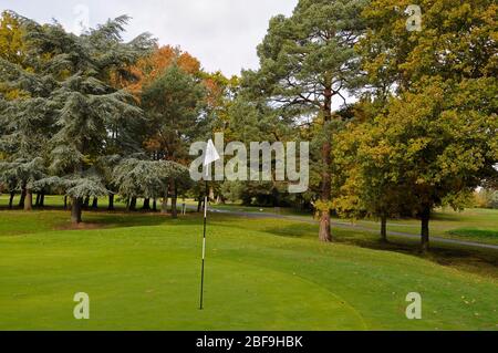 Vue sur le 18ème Green sur le Vieux parcours, le Burhill Golf Club, Walton sur la Tamise, Surrey, Angleterre Banque D'Images