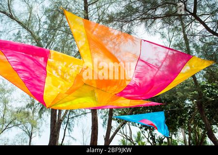 Décor coloré et élégant, salle de mariage, extérieur, fleur d'orchidée et drap coloré pour la réception de mariage en inde. Banque D'Images