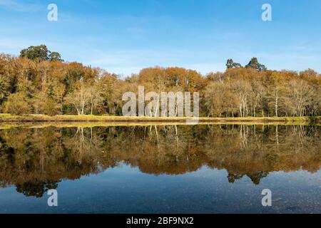 Jardim dos Poetas Garden, ce petit jardin tire son nom de deux frères du XVIe siècle qui étaient poètes et indigènes à Ponte da Barca. Banque D'Images