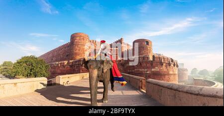 Fort d'Agra de l'Inde, promenade traditionnelle à dos d'éléphant Banque D'Images