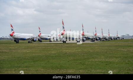 Glasgow, Royaume-Uni. 17 avril 2020. Photo : une collection de quatorze jets British Airways (Airbus de courte à moyenne portée) allant de l'A319, l'A320 et l'A321 se tiennent sur le tarmac de l'aéroport international de Glasgow. L'industrie aéronautique mondiale connaît un ralentissement sans précédent des affaires, la plupart des compagnies aériennes ayant affecté un nombre élevé de personnel en raison de pressions financières considérables causées par la pandémie de Coronavirus (COVID-19) en cours. Crédit : Colin Fisher/Alay Live News Banque D'Images