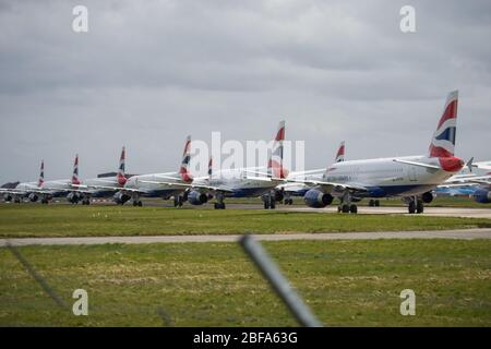 Glasgow, Royaume-Uni. 17 avril 2020. Photo : une collection de quatorze jets British Airways (Airbus de courte à moyenne portée) allant de l'A319, l'A320 et l'A321 se tiennent sur le tarmac de l'aéroport international de Glasgow. L'industrie aéronautique mondiale connaît un ralentissement sans précédent des affaires, la plupart des compagnies aériennes ayant affecté un nombre élevé de personnel en raison de pressions financières considérables causées par la pandémie de Coronavirus (COVID-19) en cours. Crédit : Colin Fisher/Alay Live News Banque D'Images