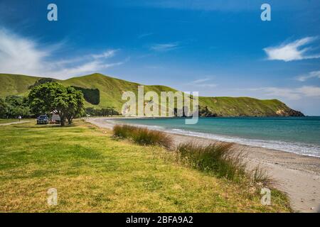 Camping Port Jackson, Kaiiti point, péninsule de Coromandel, région de Waikato, Île du Nord, Nouvelle-Zélande Banque D'Images