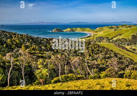 Port Jackson Bay et Camping, Cape Colville, Great Barrier Island à distance, péninsule de Coromandel, région de Waikato, Île du Nord, Nouvelle-Zélande Banque D'Images