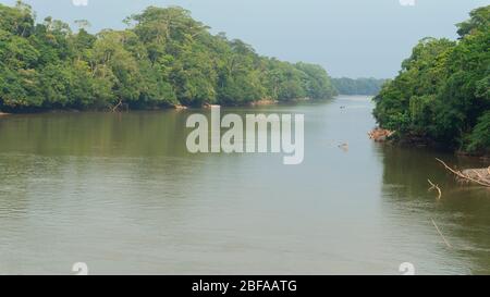 Personne dans un bateau naviguant sur la rivière San Miguel entouré d'arbres sur ses rives à la frontière entre l'Équateur et la Colombie, le jour ensoleillé Banque D'Images