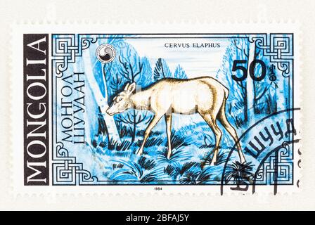 SEATTLE WASHINGTON - 15 avril 2020: Gros plan du timbre de la Mongolie avec Red Roe Deer sur fond de paysage bleu. Scott # 1452 Banque D'Images