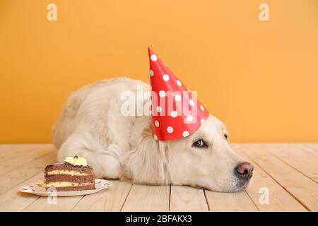 Joli chien dans un chapeau de fête et avec gâteau d'anniversaire sur fond couleur Banque D'Images